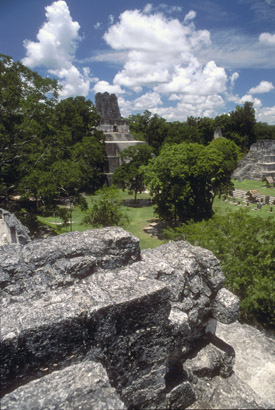 View from Palace in Tikal
