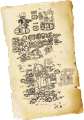 The Paris Codex